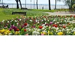 Beau T3 - 6 Couchages Proche Bord De & Centre Avec Wifi Fibre