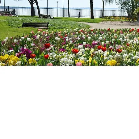 Beau T3 - 6 Couchages Proche Bord De & Centre Avec Wifi Fibre