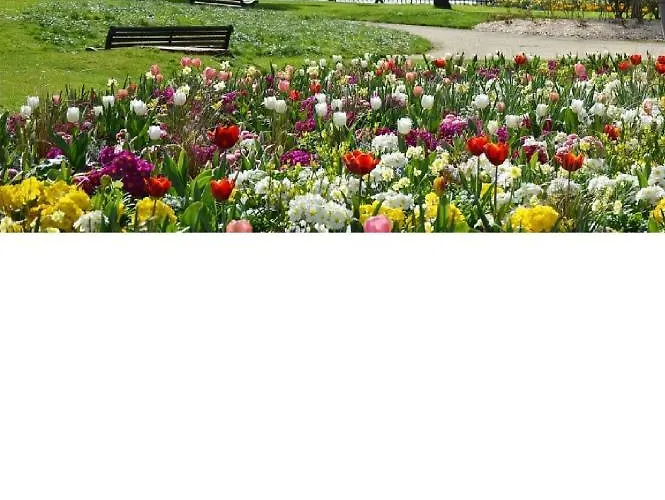 Beau T3 - 6 Couchages Proche Bord De & Centre Avec Wifi Fibre